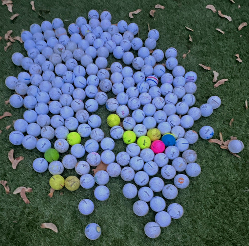 12x random srixons