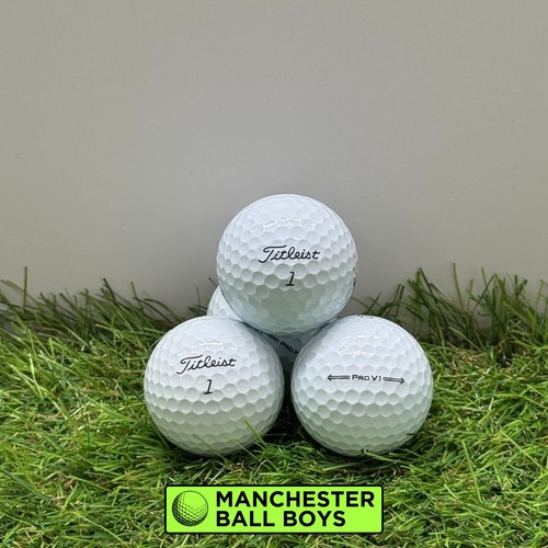 Titleist pro golf balls - v1, x12